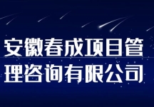 安徽春成项目管理咨询有限公司